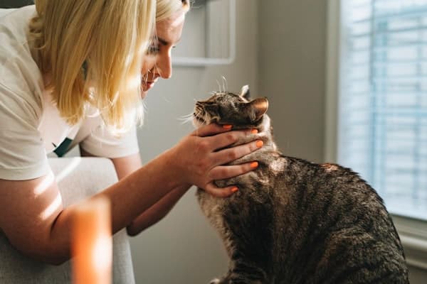 Tutora acariciando seu gato numa clínica veterinária